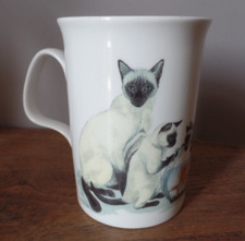 Roy kirkham siamese for sale  UK