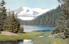 Pentothal Sodium Abbott Mountains Alaska comprar usado  Enviando para Brazil