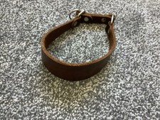greyhound collar for sale greyhound collar for sale SHEFFIELD