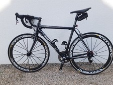 Rennrad carbon scott gebraucht kaufen  Weingarten