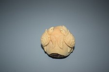 Netsuke schildkröten fels gebraucht kaufen  Olching