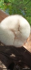 Pelzmütze silberfuchs gebraucht kaufen  Bischofswiesen