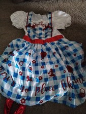 Dorothy fancy dress for sale  NEATH