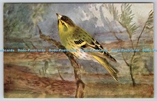 R763049 siskin bird for sale  WARLINGHAM