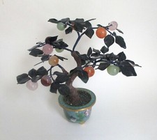 large bonsai tree for sale large bonsai tree for sale Miami