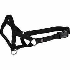 Trainer halter trainingsgeschi gebraucht kaufen  Südbrookmerland