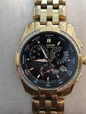 Citizen perpetual calendar for sale  High Springs