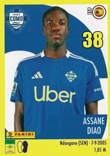 Panini calciatori 2024 usato  Milano