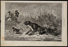 1869 panthère algérie d'occasion 1869 panthère algérie d'occasion  Gy