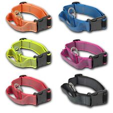 Julius powerhalsband haltegrif gebraucht kaufen  Busdorf