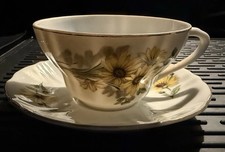 Brown eyed susan for sale  Jacksonville