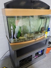 70 litre fish tank for sale 70 litre fish tank for sale HINCKLEY