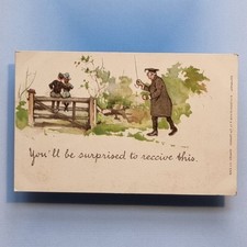Comic postcard c1910 for sale  TELFORD
