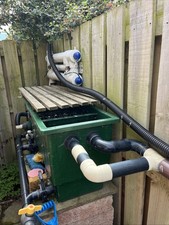 Complete koi pond for sale  DUNBAR