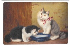 Vintage cats kittens for sale  Greenwood