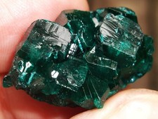 Sweet dioptase crystal for sale  Gainesville