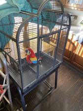 Large parrot cage for sale  MAESTEG