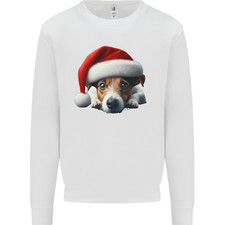 Christmas jack russell for sale  COVENTRY