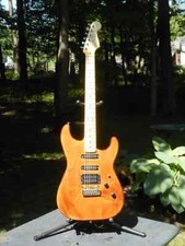 Fender american professional for sale  Pleasant Valley