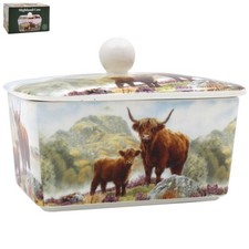 Highland cow calf for sale  LEICESTER