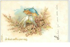 Fleurs. 8866.couple colombe d'occasion  France