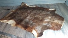 Afrika blessbock fell gebraucht kaufen  Ueckermünde