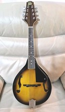 Rogue 100a style for sale  Avon Park