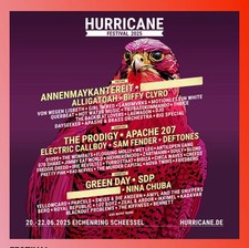 Hurricane festival park gebraucht kaufen  Selsingen