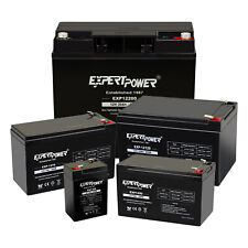 Expertpower sealed lead for sale  Paramount