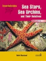Echinoderms sea stars for sale  UK