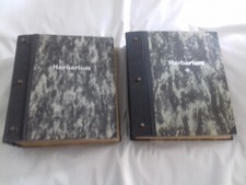 Herbarium gepresste pflanzen gebraucht kaufen  Albstadt