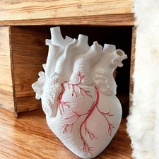 Vase coeur anatomique d'occasion  Cherbourg-Octeville-