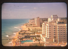 Miami florida color for sale  Valley Stream