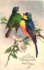 bunte vogel gebraucht kaufen bunte vogel gebraucht kaufen Bad Bevensen