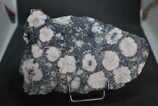 Diorite orbiculaire rose d'occasion  Sainte-Maxime