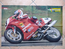 Poster raymond roche usato  Osimo