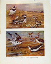 Original old antique for sale Original old antique for sale  UK