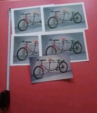 Bicicletta picchio tandem usato  Torino