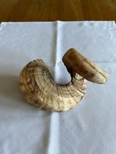 Rams horn approx for sale  SHEFFIELD