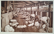 Usado, Pôster retrô escolar infantil década de 1920 e 30 impressão gangue de ovelhas australiana comprar usado  Enviando para Brazil