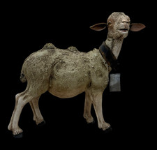 Pecora pelata animale usato  Napoli