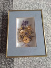 Trockenblumen rahmen 20x26cm gebraucht kaufen  Aschaffenburg