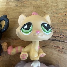 Hasbro littlest pet for sale  SHEFFIELD