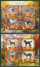 Domestic animals dogs d'occasion  Expédié en Belgium