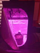 Komplettset indoor growing gebraucht kaufen  Börßum