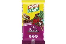 Vigorplant verdepulito cortecc usato Vigorplant verdepulito cortecc usato  Bisceglie