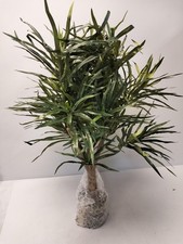kunstbaum gebraucht kaufen kunstbaum gebraucht kaufen Herten