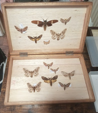 Solid wooden taxidermy for sale Solid wooden taxidermy for sale  MANCHESTER