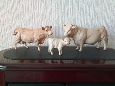 Beswick cows charolais for sale  LANCASTER