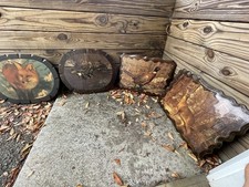 Vintage rustic cabin for sale  Somerset